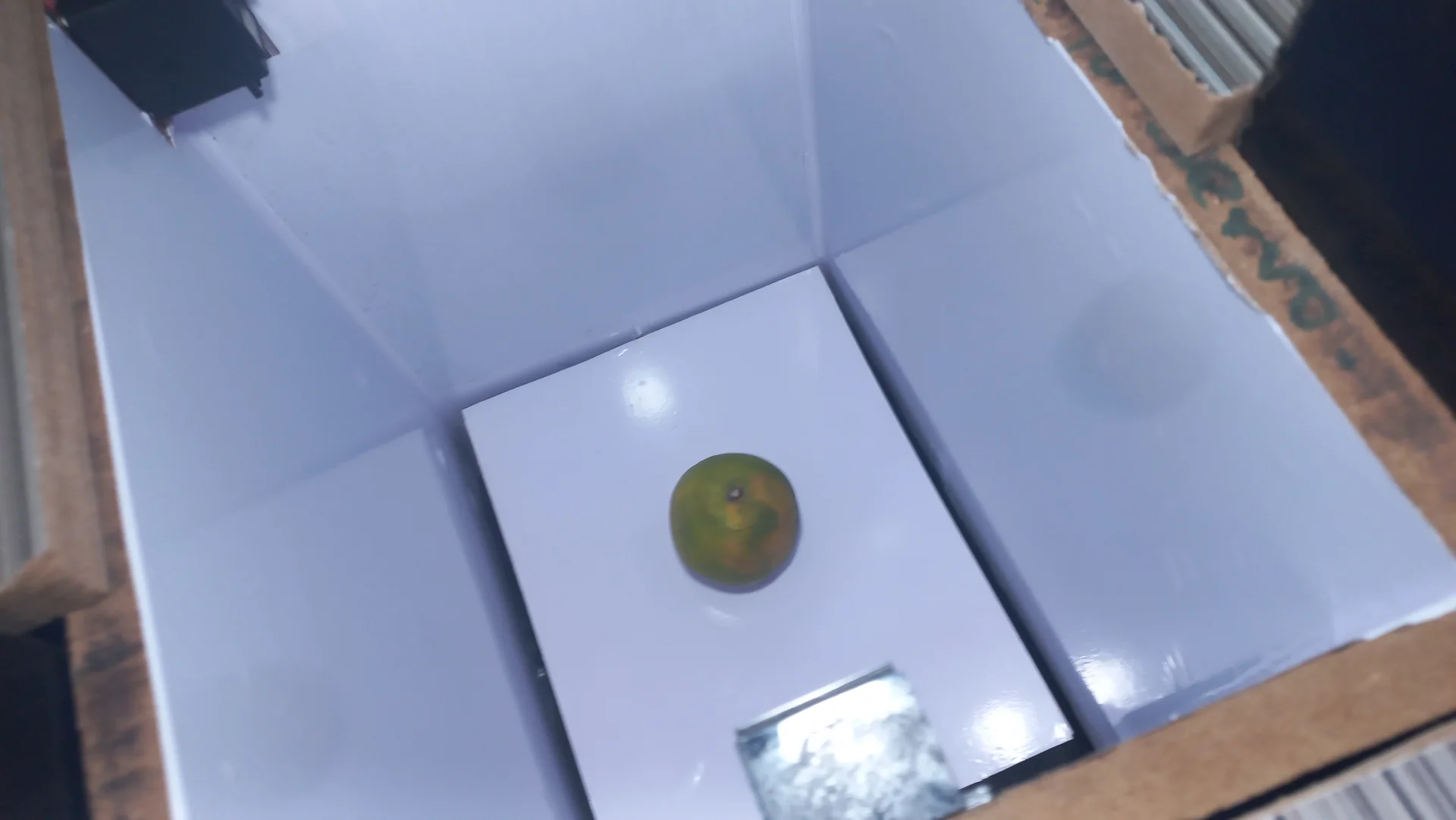 A green citrus fruit placed on the sorting tray inside the bin, used as the test organic waste item for classification