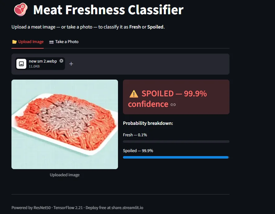 SPOILED 99.9%, ground beef