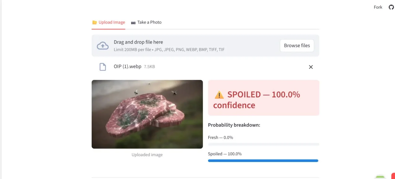 SPOILED 100.0%, mouldy meat with green growth