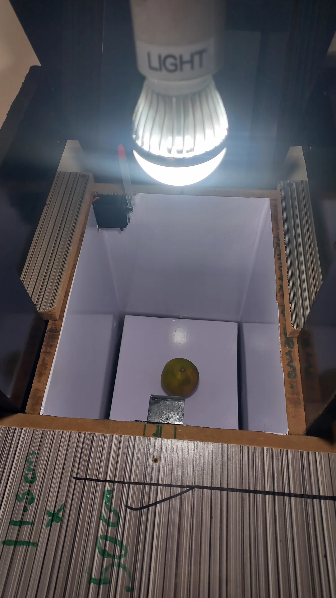 The interior lamp lit inside the sorting chamber during a demo run, with the green citrus fruit resting on the sorting tray