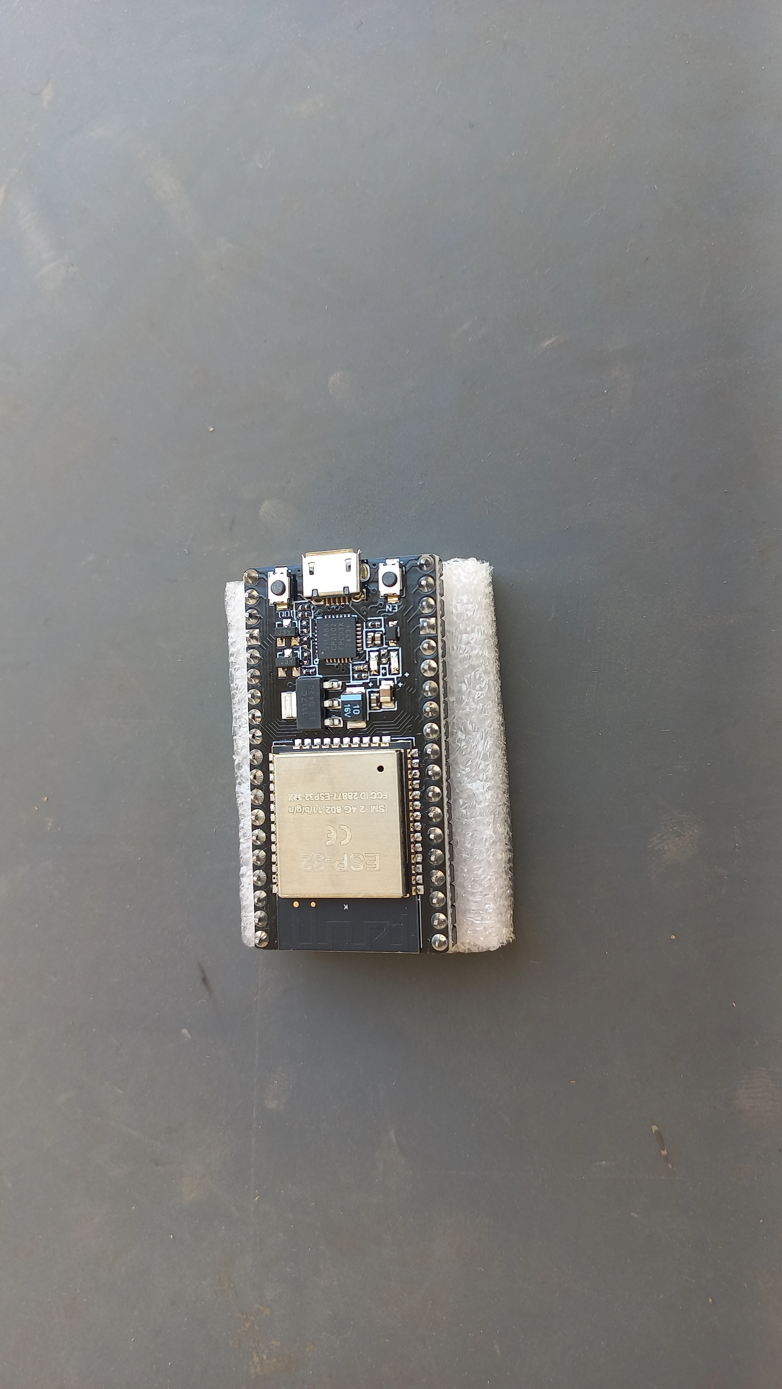 ESP32 dev board front view